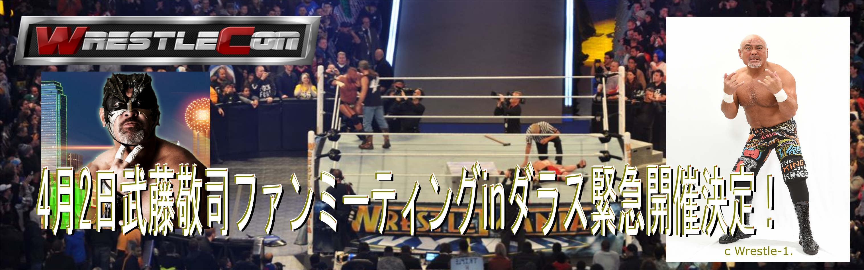 世界のプロレス観戦ツアー